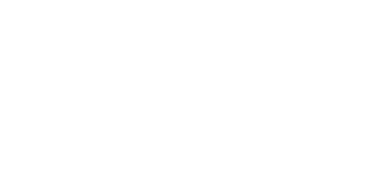 Speedometer Official