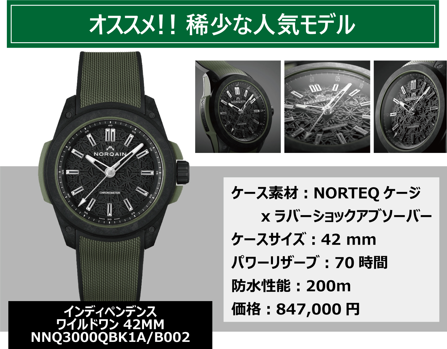 ノルケインフェア_インディペンデンスワイルドワン42MM_NNQ3000QBK1A/B002_モデル紹介